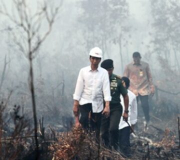 Jokowi di Hutan Terbakar 360x320